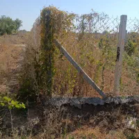 آینده|فروش زمین و ملک کلنگی|تاکستان, |دیوار