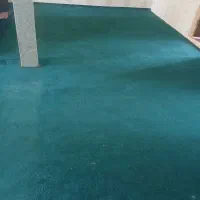 موکت نو نو تا به حال شسته نشده رنگ کله غازی