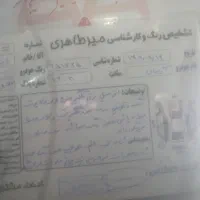 اریسان دوگانه سوز 95 شرکتی|خودرو سواری و وانت|پاکدشت, پاکدشت (مامازند)|دیوار