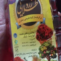 نانو|مواد شوینده و دستمال کاغذی|ایذه, |دیوار
