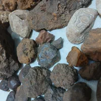 شهاب سنگ|کلکسیون اشیاء عتیقه|شیراز, گویم|دیوار