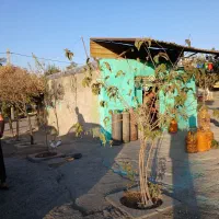 عرصه و عیان ملک تجاری قدیمی