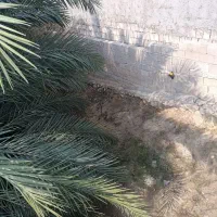 منزل-ویلایی-دوخواب-طولا