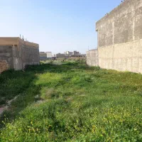 موقعیت عالی، نقد،معاوضه،شرایطی