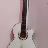 گیتار دیاموند نو به همراه کاور