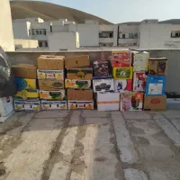 فروش کارتن موز