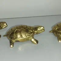 لاک پشت برنجی|مجسمه، تندیس، ماکت|اردبیل, |دیوار