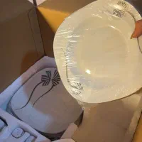 سرویس چینی مقصود