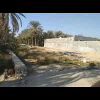 (فروش فوری زمین)دودانگه کوچک برچ حسنقلی خان|فروش زمین و ملک کلنگی|بهبهان, |دیوار