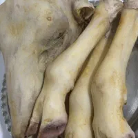 کله پاچه|خوردنی و آشامیدنی|نورآباد ممسنی, |دیوار