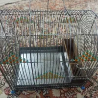 قفس رام کن سهره