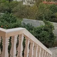 اجاره روزانه ویلا