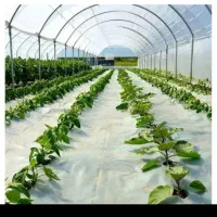 فروش-باغ-و-گلخانه