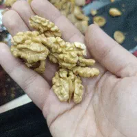 گردو|خوردنی و آشامیدنی|ارومیه, |دیوار