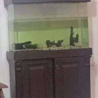 اکواریوم با هرچی داره شن و وسایل