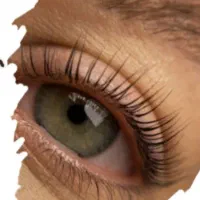 حراج حراج م ژ ه