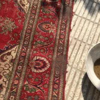فرش عتیقه باقدمت بالای ۵۰ سال|فرش|تهران, ستارخان|دیوار