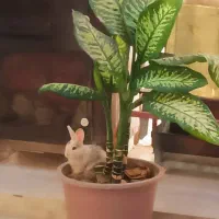 خرگوش کوچولوی بازیگوش بامزه