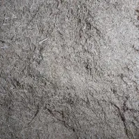 کاه‌کندم‌دیم‌وابی‌‌