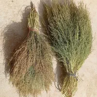 جارو محلی