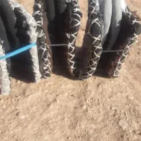 پالان الاغ|لوازم جانبی حیوانات|سده (خراسان جنوبی), |دیوار