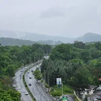 پیش فروش ۳۰۰متری ویو ابدی جنگل فول فرنیش