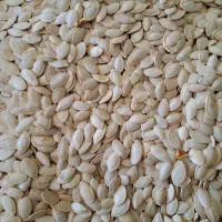 تخمه کدو اعلی درجه یک امسالی|عمدهفروشی|سمیرم, |دیوار