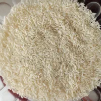 برنج سورت بوجار دمسیاه وفجر کاملاخالص|خوردنی و آشامیدنی|رشت, دیلمان|دیوار