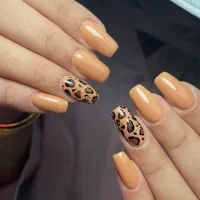 برای تکمیل آلبوم نیاز به مدل دارم برای عکاسی