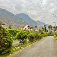 زمین-1150-متر-چسبیده-به-جنگل-در-شهرک-برند-نوشهر