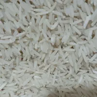 پخش برنج طارم گرگان|خوردنی و آشامیدنی|قم, پردیسان|دیوار