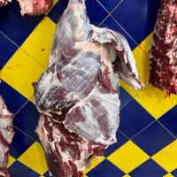 گوشت گوسفند و گوساله درجه یک