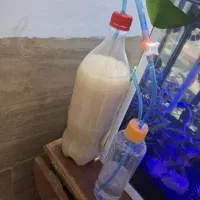 سیستم co2 آکواریوم