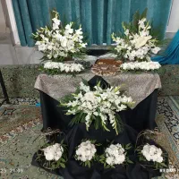 گل طبیعی|گل و گیاه طبیعی|مشهد, راه آهن|دیوار