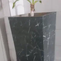 خونه کسی نبود رسیدگی کنه خراب شدن گلاش ۳تاش سالمه