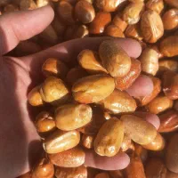 فروش سنجد درشت و قرمز