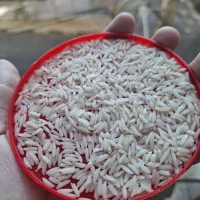 برنج هاشمی صدری گیلان تناژ و خرده با تست|خوردنی و آشامیدنی|تهران, فرمانیه|دیوار