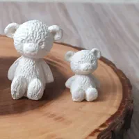 قالب سیلیکونی