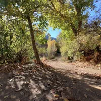 اجاره سویت گردشگری پاوه روستای بندره|اجارهٔ کوتاه‌مدت آپارتمان و سوئیت|پاوه, |دیوار