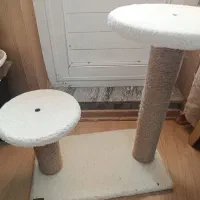 اسکرچر و درخت گربه مارک هیوا