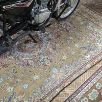 باکسر