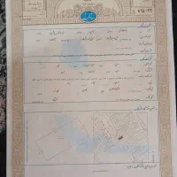 سنداجاره ای واجاره سندبرای آزادی زندانی از ودادسرا