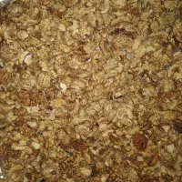 مغذ گردو
