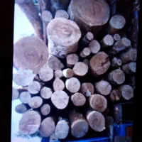 خریدچوب برش درخت هرس درخت