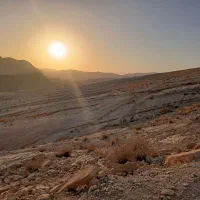 فروش زمین مسکونی خ مهاجر پشت تجاری ها