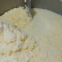 هم کار خانم خدماتی ونظافت