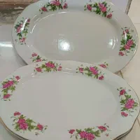 ست دیس غذاخوری گل سرخه