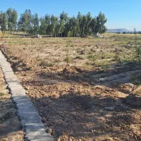 زمین به پلاک های ۵۰۰ ، ۱۰۰۰ متری بفروش می رسد