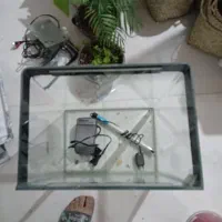 آکواریوم شیشه جلو خم شیک|ماهی|بومهن, |دیوار