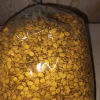 فروش تخمه عمده  و کاپوچینو گوددی|خوردنی و آشامیدنی|شیراز, شهرک مدرس|دیوار